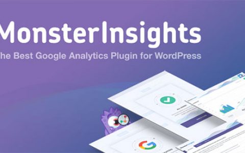 Monsterinsights插件：非常优秀的WordPress数据分析插件